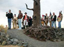 Clark's Tree